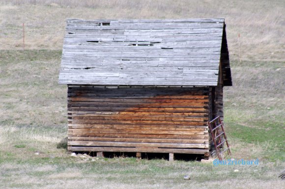 Western NE, North ID, Southern MT/HadenID 036.JPG