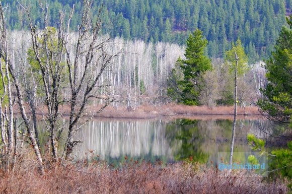 Western NE, North ID, Southern MT/HadenID 039.JPG