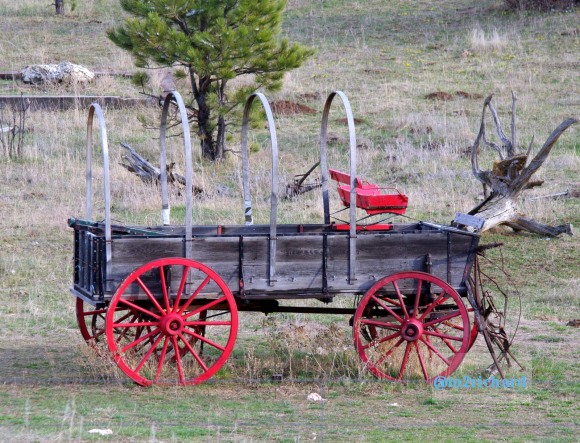 Western NE, North ID, Southern MT/MT-SD 039.JPG