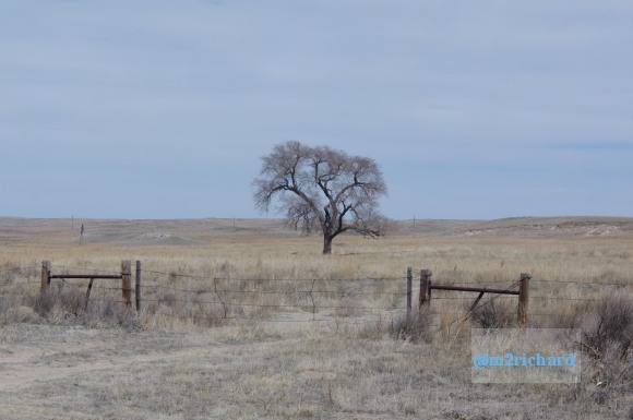 Western NE, North ID, Southern MT/Nebraska 014.JPG