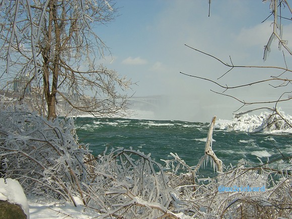 Niagra Falls-Winter/RichsunDay3-09-08 114.jpg