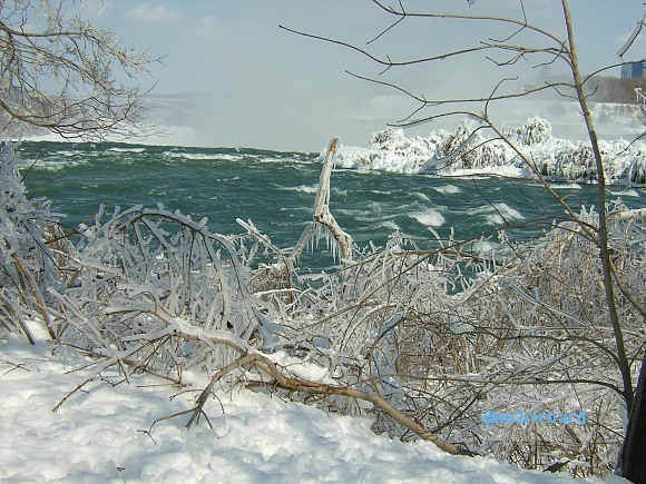 Niagra Falls-Winter/RichsunDay3-09-08 115.jpg