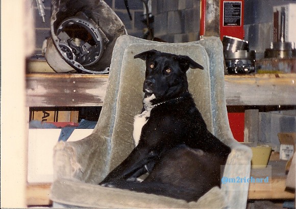 scan0006