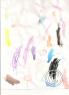 scan0011