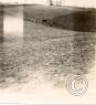 scan0076