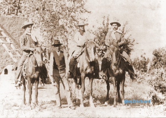 AZ-cowboys