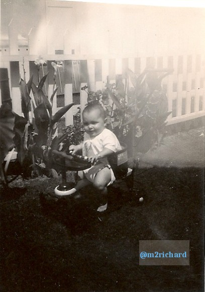 scan0008