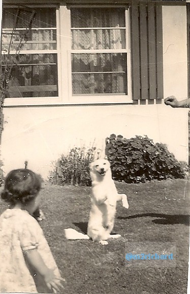 scan0029