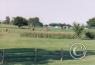 Scenes along the highway/anish-horses-IN.jpg