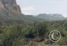 Scenes along the highway/cactus-AZ-2.jpg
