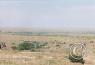 Scenes along the highway/panhandle-I-40-TX-2.jpg