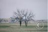 Scenes along the highway/ruggedhill-field-SD.jpg
