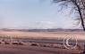 Scenes along the highway/snowmtn-CO.jpg