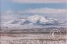 Scenes along the highway/snowymtn-MT.jpg