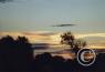 Scenes along the highway/tree-sunset.jpg