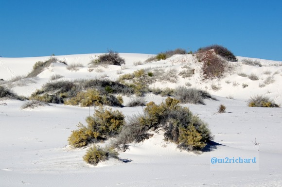 2010-12-13 Dec-WhiteSands/Dec-WhiteSands 038.JPG