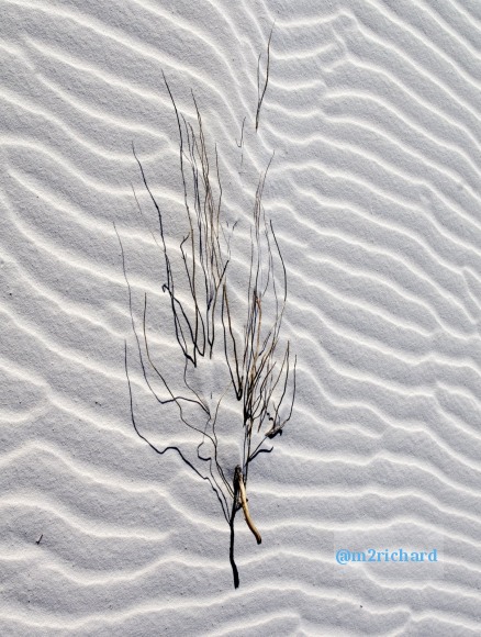 2010-12-13 Dec-WhiteSands/Dec-WhiteSands 043.JPG