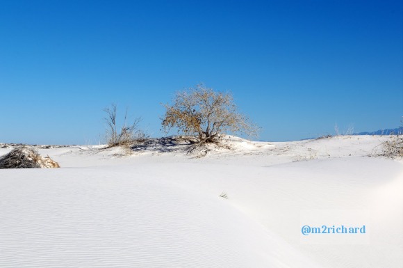 2010-12-13 Dec-WhiteSands/Dec-WhiteSands 047.JPG