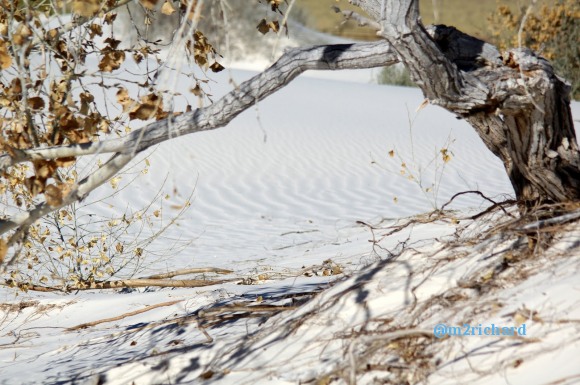 2010-12-13 Dec-WhiteSands/Dec-WhiteSands 061.JPG