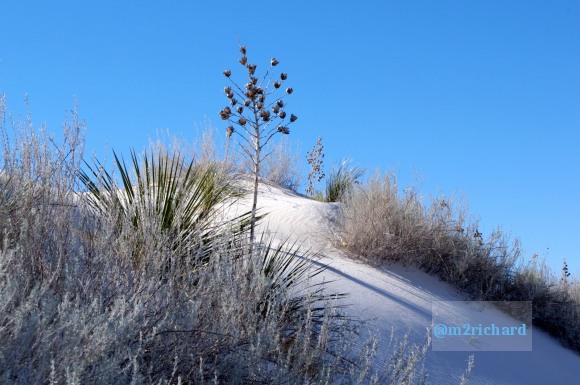 2010-12-13 Dec-WhiteSands/Dec-WhiteSands 125.JPG