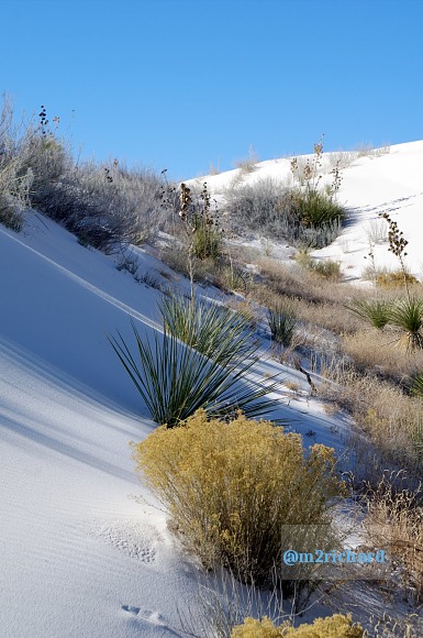 2010-12-13 Dec-WhiteSands/Dec-WhiteSands 129.JPG