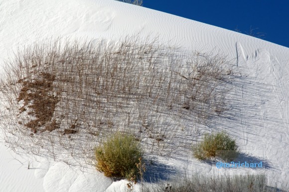 2010-12-13 Dec-WhiteSands/Dec-WhiteSands 148.JPG