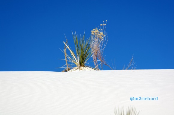 2010-12-13 Dec-WhiteSands/Dec-WhiteSands 153.JPG