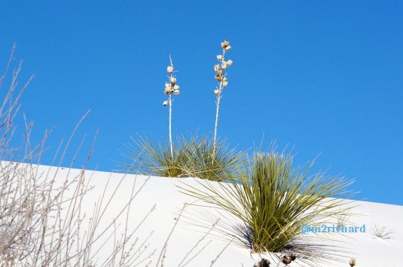 2010-12-13 Dec-WhiteSands/Dec-WhiteSands 154.JPG