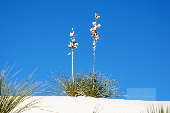 2010-12-13 Dec-WhiteSands/Dec-WhiteSands 157.JPG