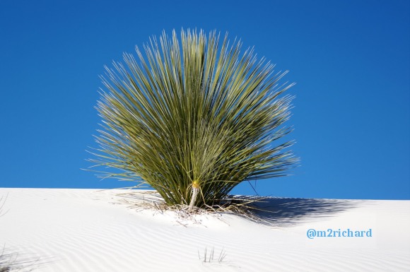 2010-12-13 Dec-WhiteSands/Dec-WhiteSands 159.JPG