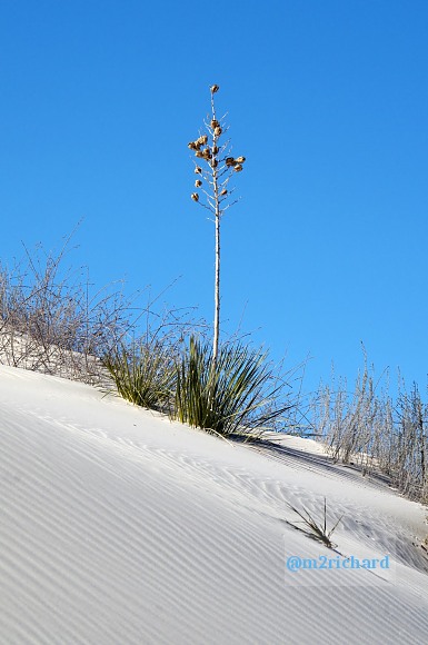 2010-12-13 Dec-WhiteSands/Dec-WhiteSands 165.JPG