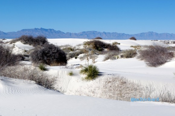 2010-12-13 Dec-WhiteSands/Dec-WhiteSands 220.JPG