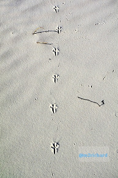 2010-12-13 Dec-WhiteSands/Dec-WhiteSands 224.JPG