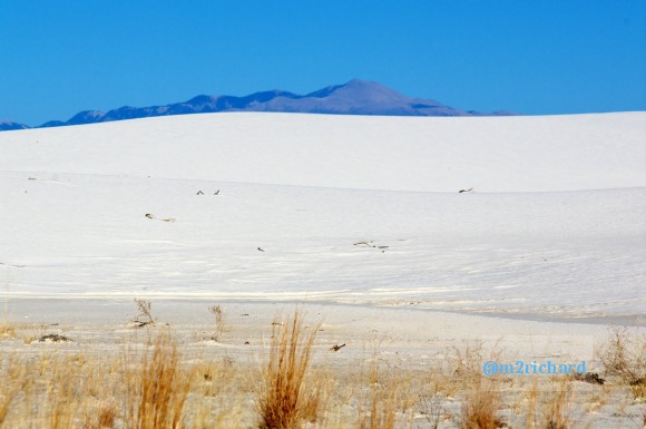 2010-12-13 Dec-WhiteSands/Dec-WhiteSands 274.JPG