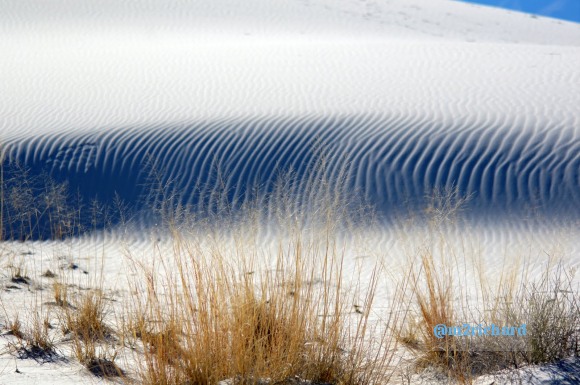 2010-12-13 Dec-WhiteSands/Dec-WhiteSands 285.JPG